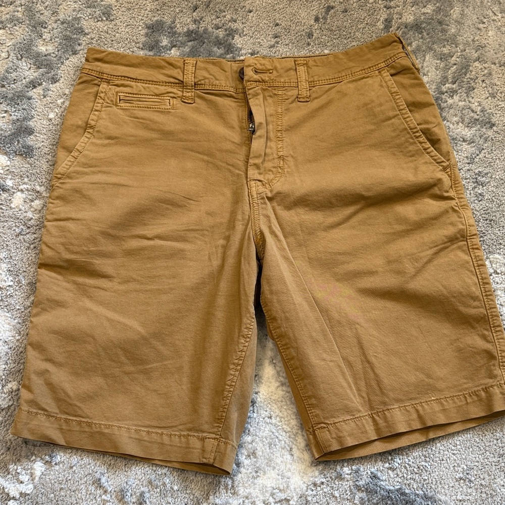 American Eagle Outfitters Men's tan Flat Front Shorts